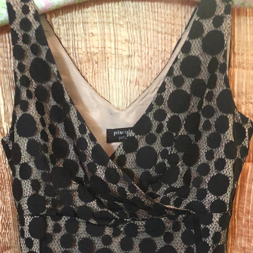 Principles Lace-Net Top w/lining Sz 10